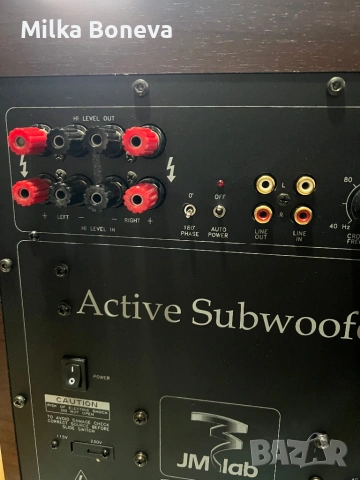 Focal JMLab SW A25, снимка 10 - Тонколони - 54022802