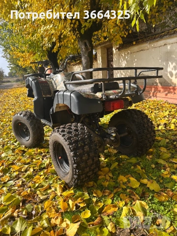 Атв-250сс, снимка 2 - Мотоциклети и мототехника - 52351009