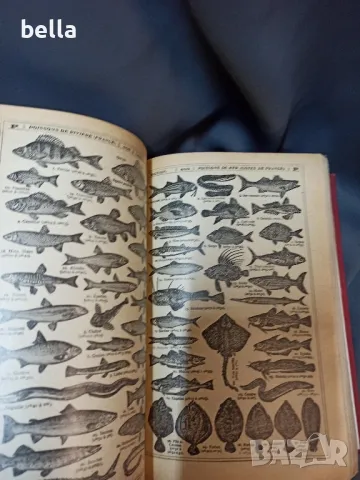 Френска илюстрована енциклопедия Larousse Tout En Un твърди корици 1921 год ., снимка 7 - Енциклопедии, справочници - 48688964