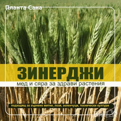 Зинерджи - Системно и контактно действие, снимка 1 - Тор и почвени смеси - 49464139