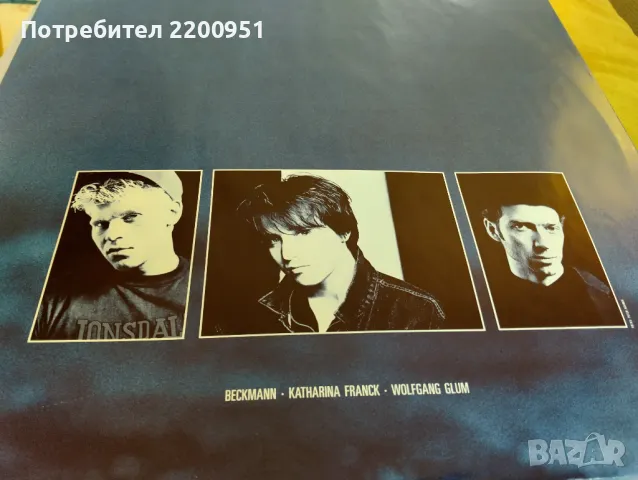 RAINBIRDS, снимка 5 - Грамофонни плочи - 49758973