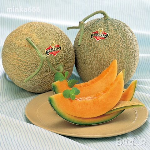 10бр.семена за пъпеш Юбари