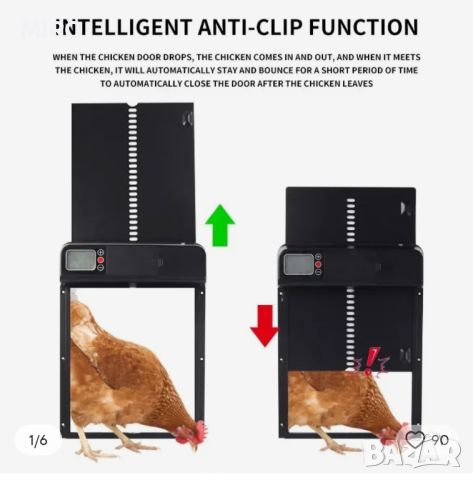 Електрони врати с таймер за кокошки, гълъби и д-р.животни., снимка 1 - Кокошки и пуйки - 45991161