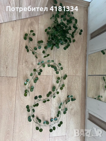 Декорация изкуствена зеленина, лампички, снимка 7 - Декорация за дома - 53822781