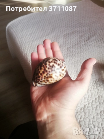 Антични предмети и сувенири, снимка 3 - Антикварни и старинни предмети - 52800543