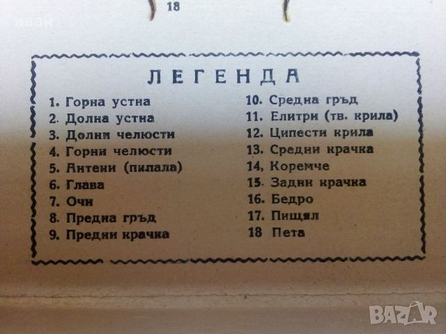 Кутия "Разчленено насекомо" - ДСО Учтехпром, снимка 4 - Други ценни предмети - 46661383