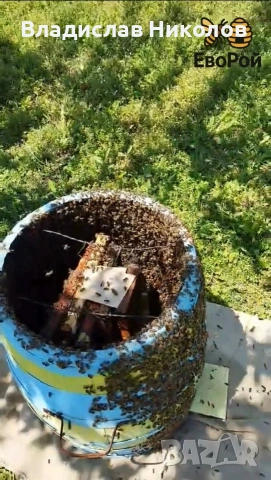 ЕвоРой - примамка за пчелни рояци, снимка 3 - За пчели - 45206919