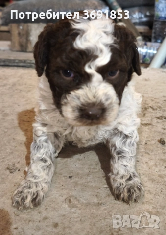 Лагото Романьоло, снимка 3 - Други - 53235315