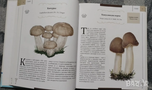 Фермата - Алманах. Природните богатства на България, снимка 3 - Енциклопедии, справочници - 53937325