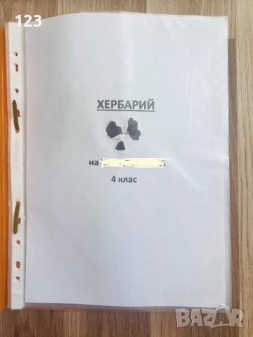 Хербарии, снимка 2 - Други услуги - 51619721