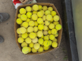 Жълти топки за тенис