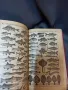 Френска илюстрована енциклопедия Larousse Tout En Un твърди корици 1921 год ., снимка 7