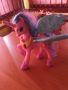 My Little Pony - Принцеса Селестия + видео клип, снимка 1 - Музикални играчки - 45507851