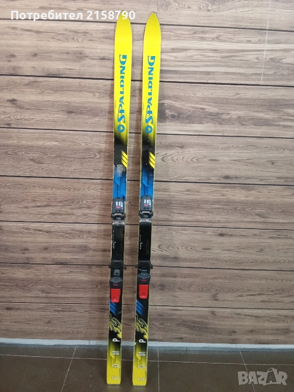 ски, снимка 1