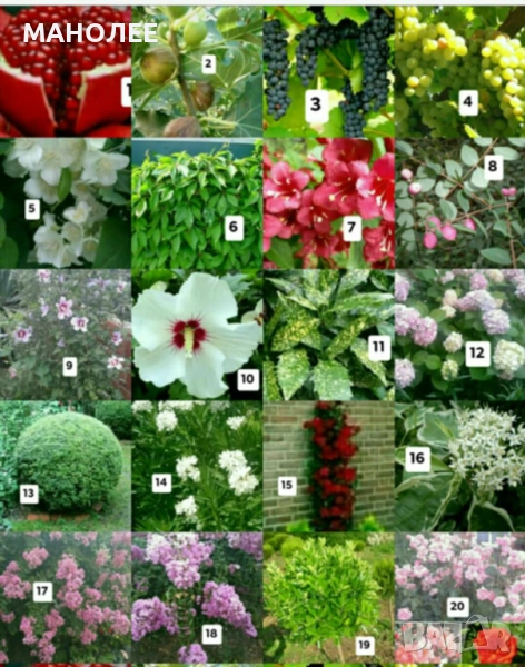 50 РЕЗНИКА В ЕДИН ПАКЕТ /видове по избор/ ЗА 20 ЛВ., снимка 1