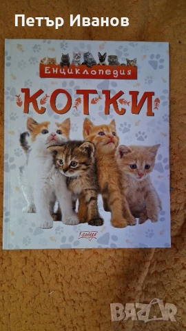 Енциклопедия за котки 