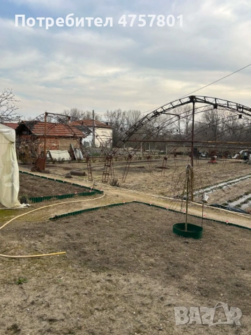 Оранжерии тип анеовградски