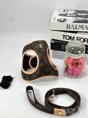 каишки за кучета gucci karl lagerfeld , снимка 8 - За кучета - 50731600