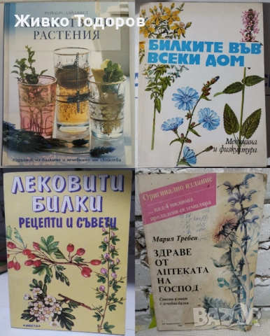 Билките в всеки дом/Здраве от аптеката на Господ/Лековити билки.Рецепти,съвети/Лекарствени растения