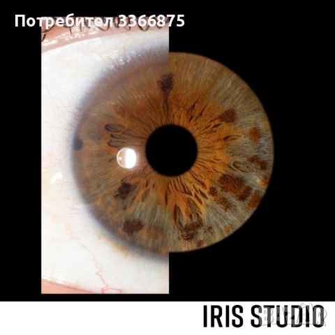 Iris Studio Plovdiv , снимка 3 - Романтични подаръци - 45221987