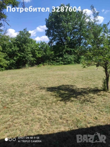 Масивна къща в село Калище , снимка 2 - Къщи - 52448599