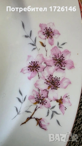 Порцеланова чиния дълбока с червен кант на Китка модел ябълков цвят , снимка 2 - Чинии - 54054791