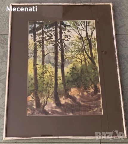 БИСЕРА ПРАХОВА - акварел , снимка 5 - Картини - 53100138