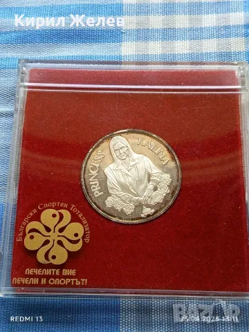 Плакет Европейско първенство по кърлинг2004г. София Принцеса Калина 49561, снимка 7 - Антикварни и старинни предмети - 50003454