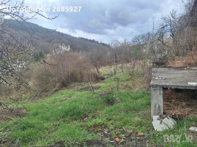 Къща с. Ялботина-област Драгоман, снимка 5 - Къщи - 54208959