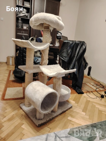 Катерушка за Коте