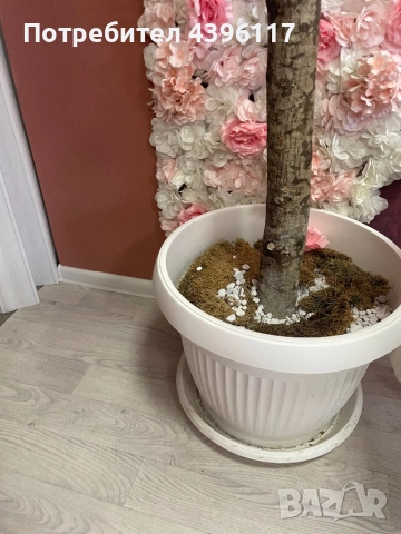 Продавам !!!, снимка 2 - Декорация за дома - 51549923