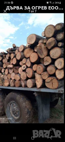 дърва за огрев метровки дъб , снимка 2 - Дърва за огрев - 49425460