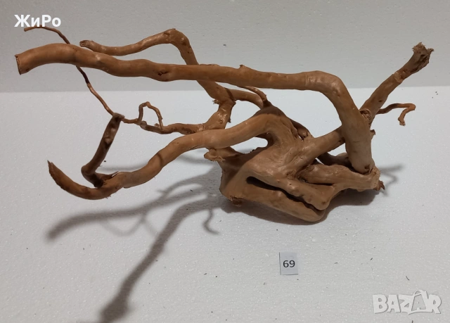 Корен от Азалия /декорация/ 69