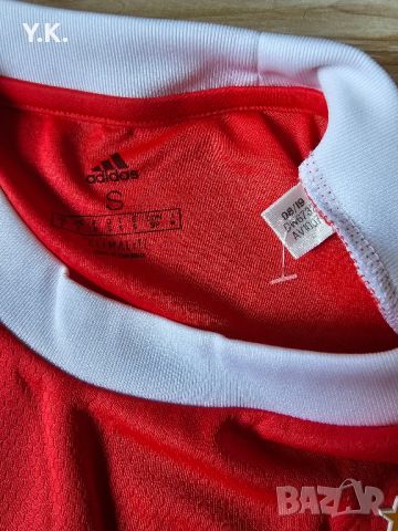 Оригинална мъжка тениска Adidas Climalite x S.L. Benfica / Season 19-20 (Home), снимка 4 - Тениски - 41941097