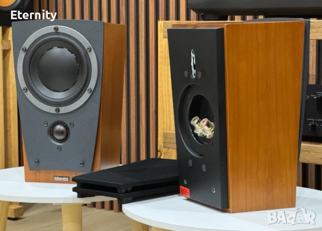 Dynaudio Contour SR / Тонколони, снимка 8 - Тонколони - 53433247