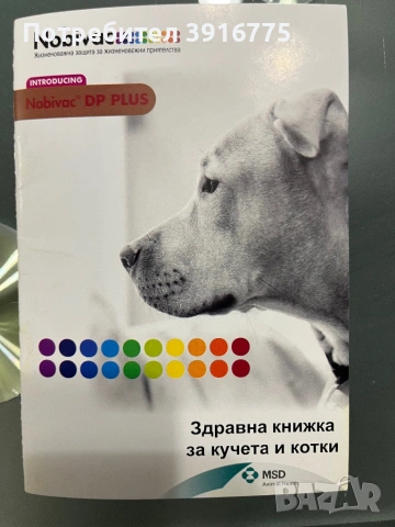 Померан 4-месеца, снимка 8 - Померан - 53490971