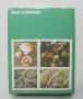 Книга Атлас по ботаника - Славчо Петров, Емануил Паламарев 1994 г., снимка 7