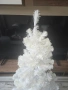 Елха бяла 150 см., снимка 1