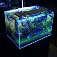 LED осветление лампа за аквариум Светлина за отглеждане на водни растения IPL-50, снимка 7 - Оборудване за аквариуми - 45513289