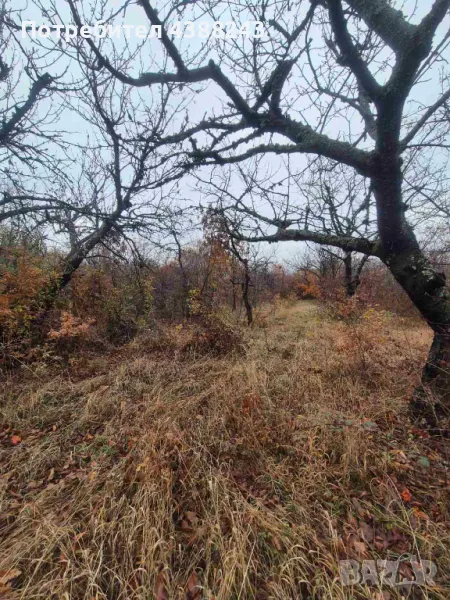 Вила в Паталеница, снимка 1