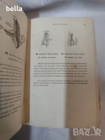 Антикварен медицински атлас по Анатомия (1875 г.) – Dr. Heitzmann 1875 год. , снимка 13 - Антикварни и старинни предмети - 53618907