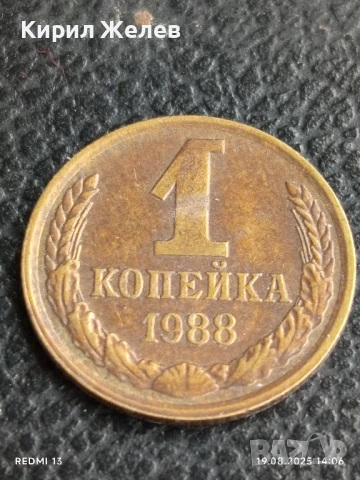 Монета 1 копейка 1988г. СССР рядка за КОЛЕКЦИЯ ДЕКОРАЦИЯ 39779