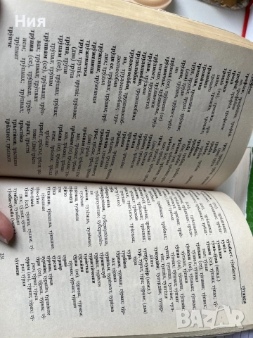 Учебен правописен речник на българския език, снимка 2 - Чуждоезиково обучение, речници - 51660633