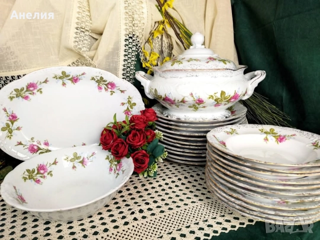 Wawel Poland Рози красота! 