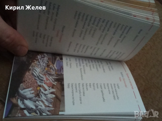 Българско - турски разговорник 54084, снимка 11 - Художествена литература - 53750038