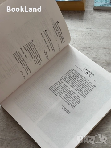 Рейки – Даян Стейн, Кибеа , снимка 11 - Други - 53295806