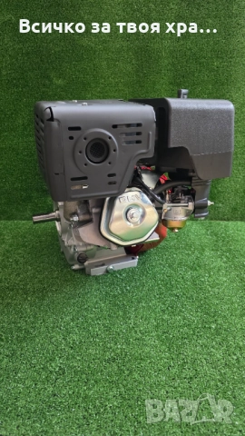 Двигател за мотофреза 13 коня + ШАЙБА, снимка 5 - Градинска техника - 51631596