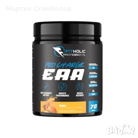 Fitholic Professional Pro Charge EAA Essential Amino Acids | 1120 грама 