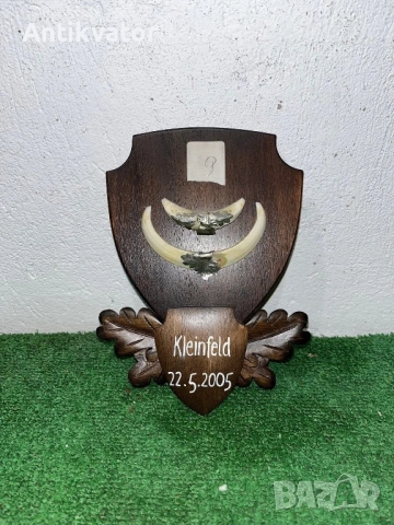 Глиги - зъби от диво прасе , снимка 9 - Други - 54240588