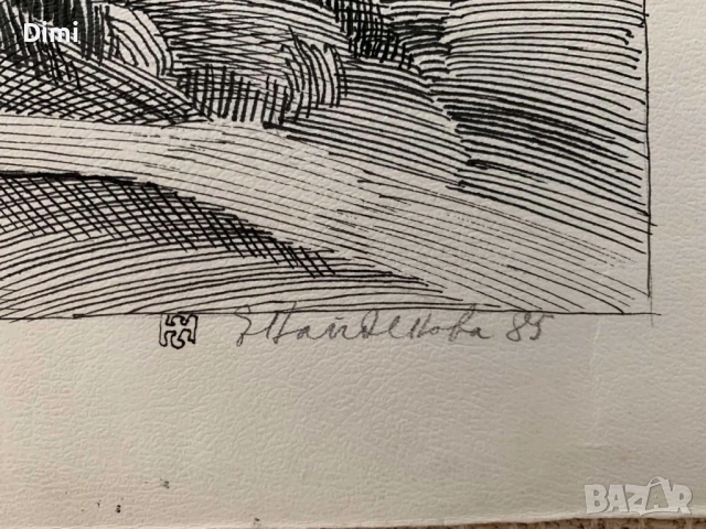 ЕЛКА НАЙДЕНОВА пейзаж – туш, снимка 2 - Картини - 52804184